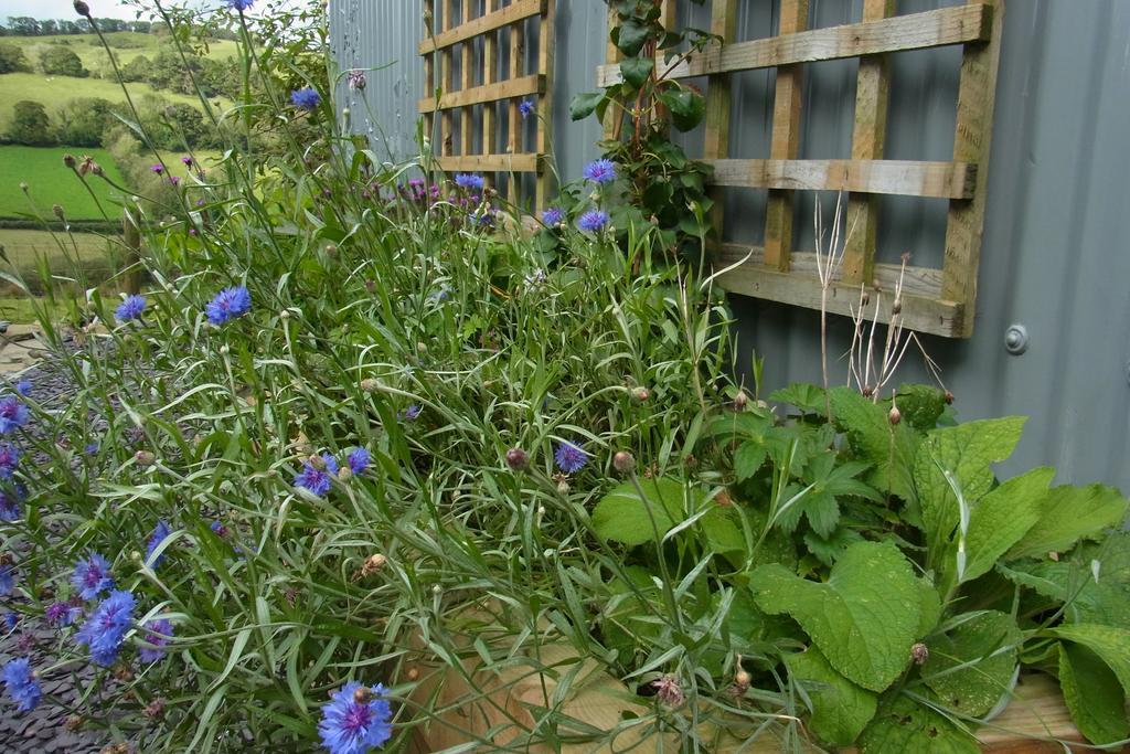 הוילה קארמרת'ן Rhiwiau Self Catering מראה חיצוני תמונה